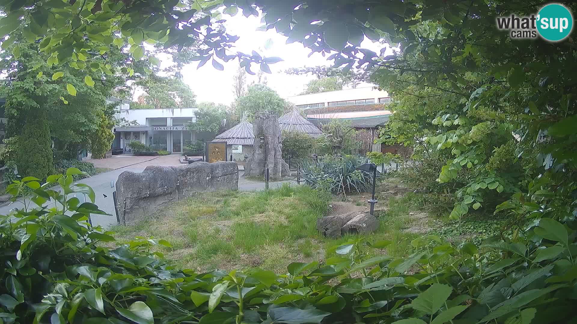 Zoo Zagreb – Erdmännchen