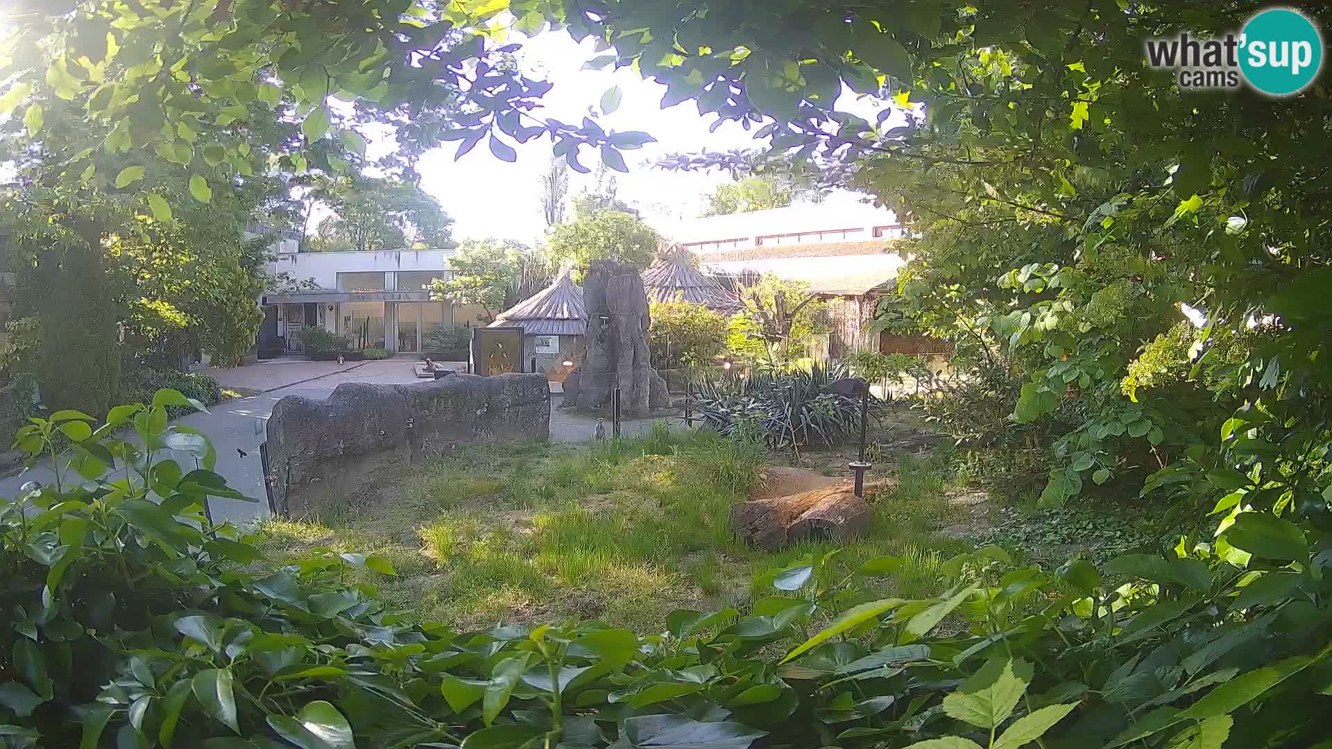 Zoo Zagreb – Erdmännchen