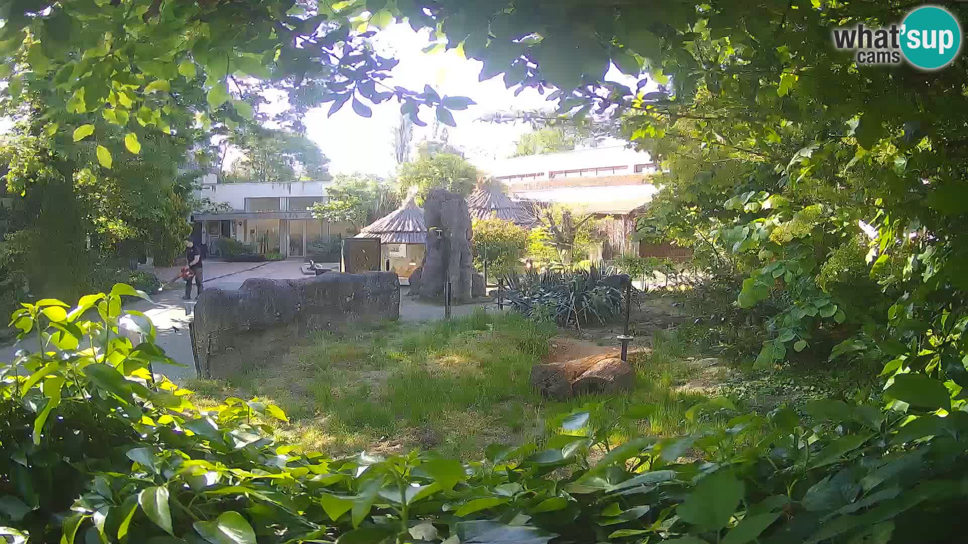 Zoo Zagreb – Erdmännchen
