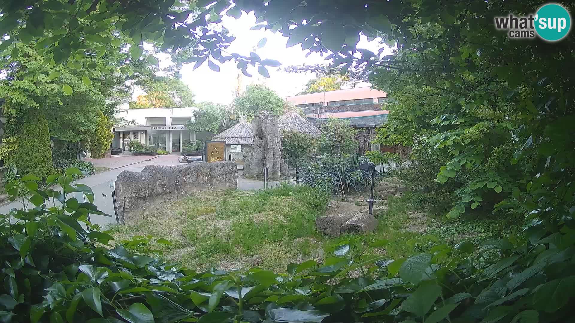 Zoo Zagreb – Erdmännchen
