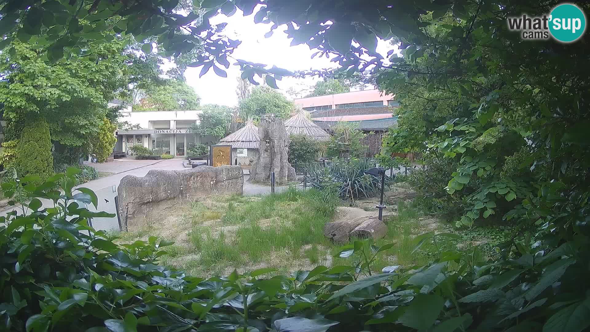 Zoo Zagreb – Merkat