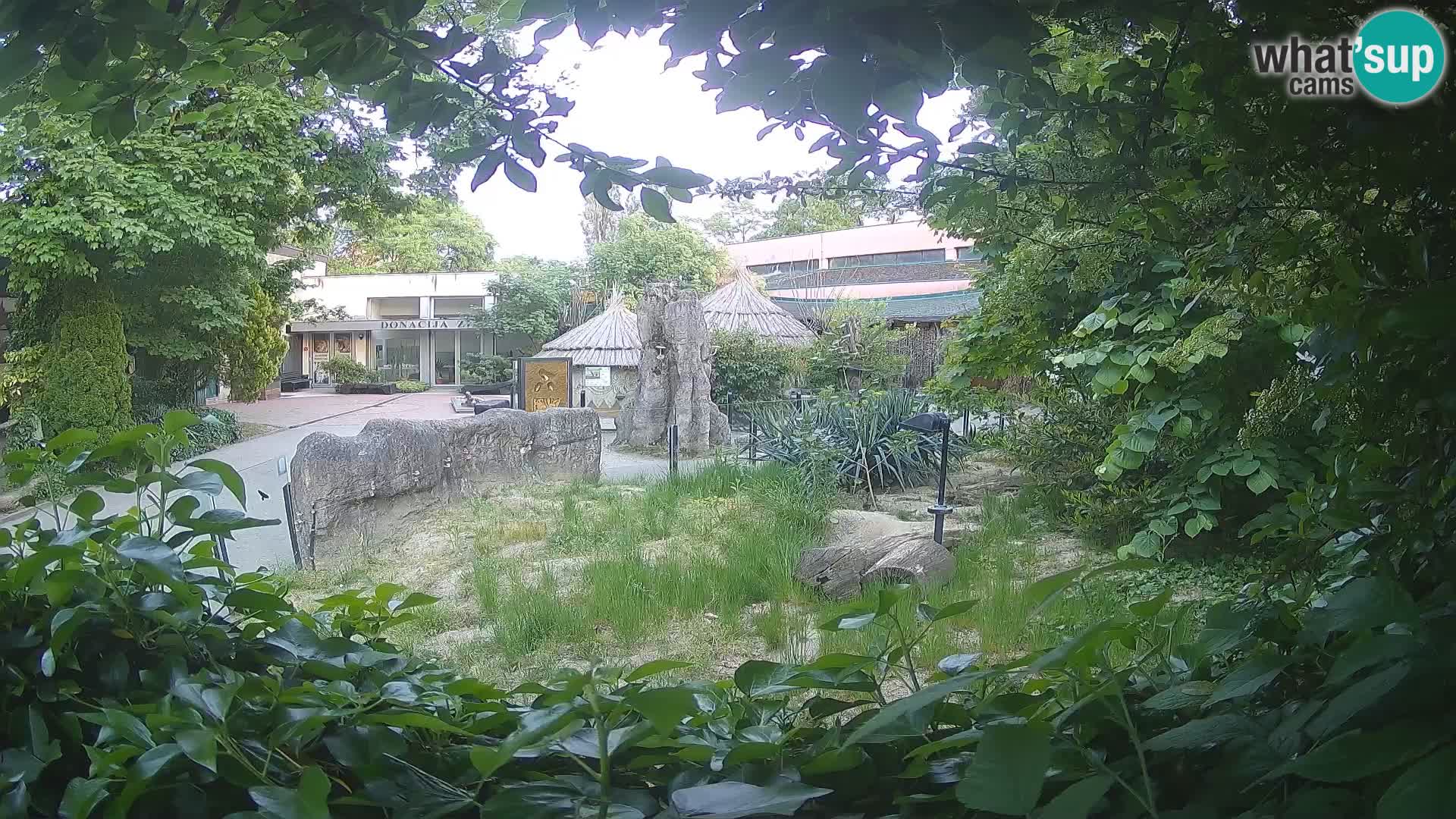 Zoo Zagreb – Surikate