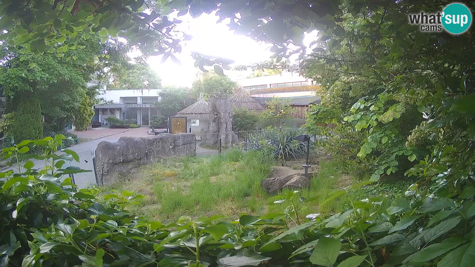 Zoo Zagreb – Erdmännchen
