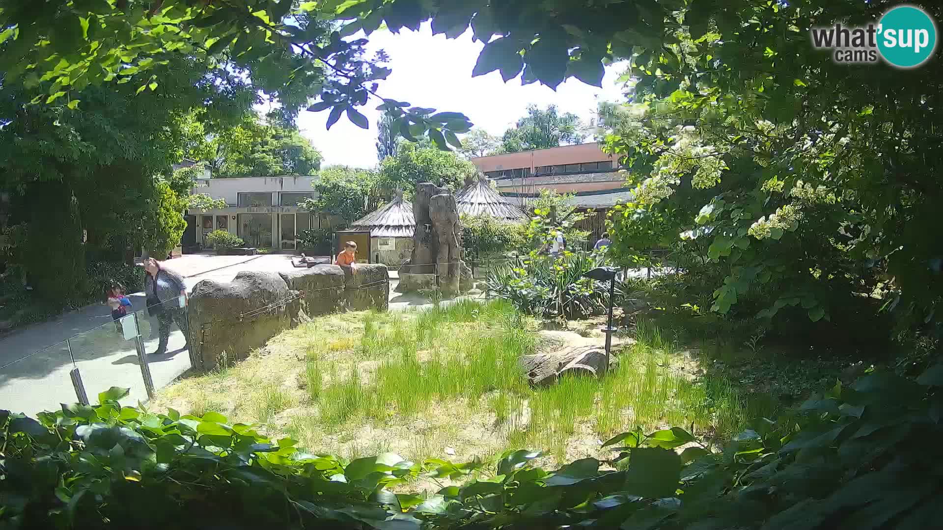 Zoo Zagreb – Erdmännchen