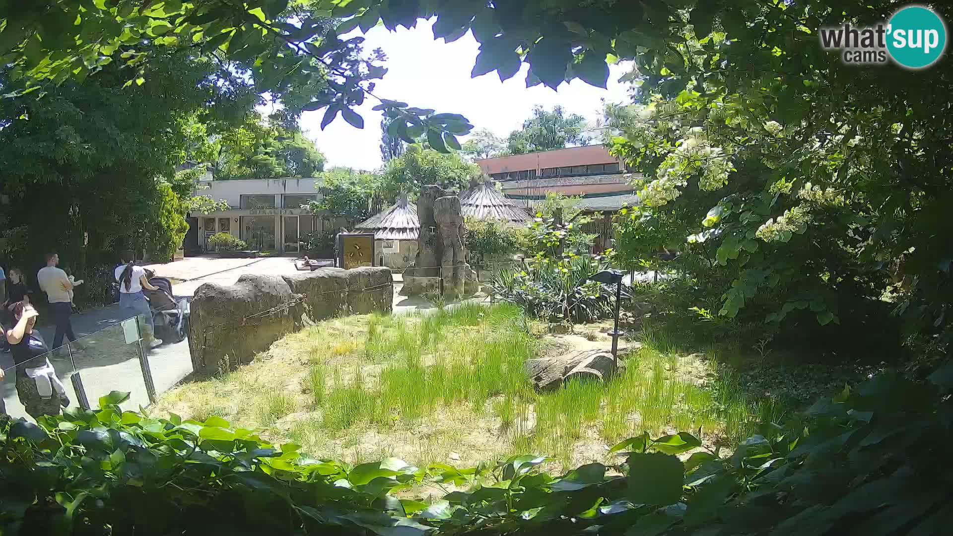 Zoo Zagreb – Erdmännchen