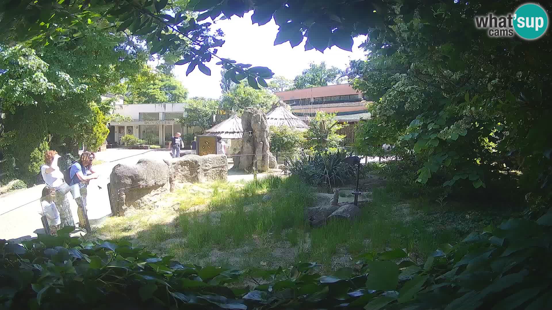Zoo Zagreb – Erdmännchen