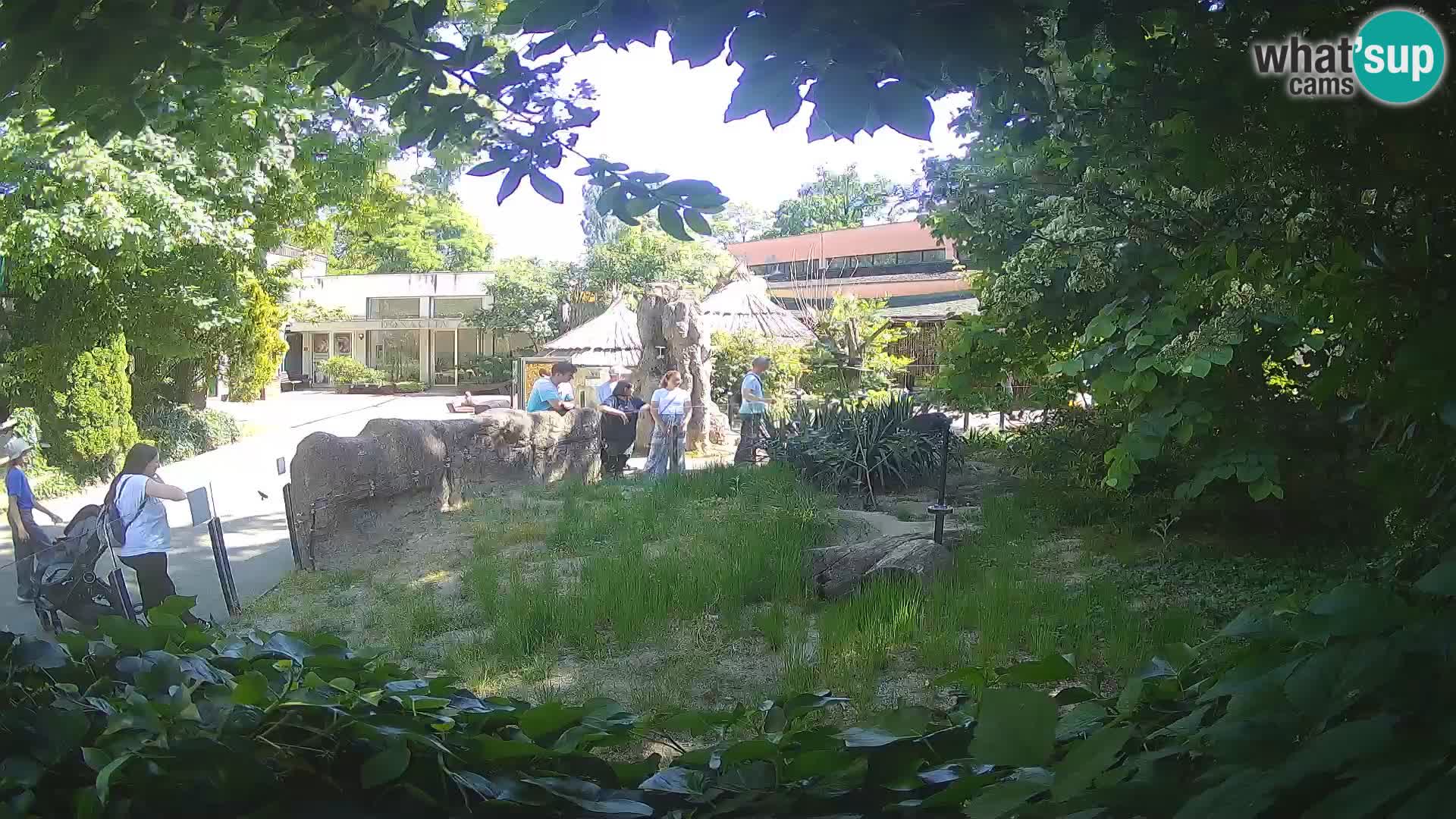Zoo Zagreb – Erdmännchen