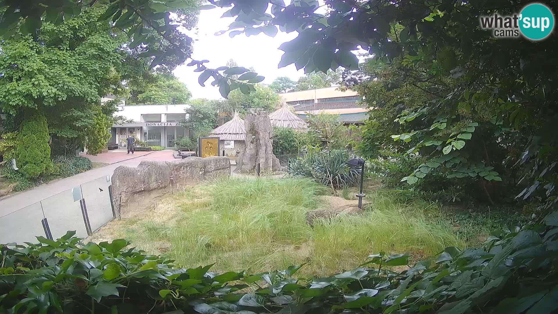 Zoo Zagreb – Erdmännchen