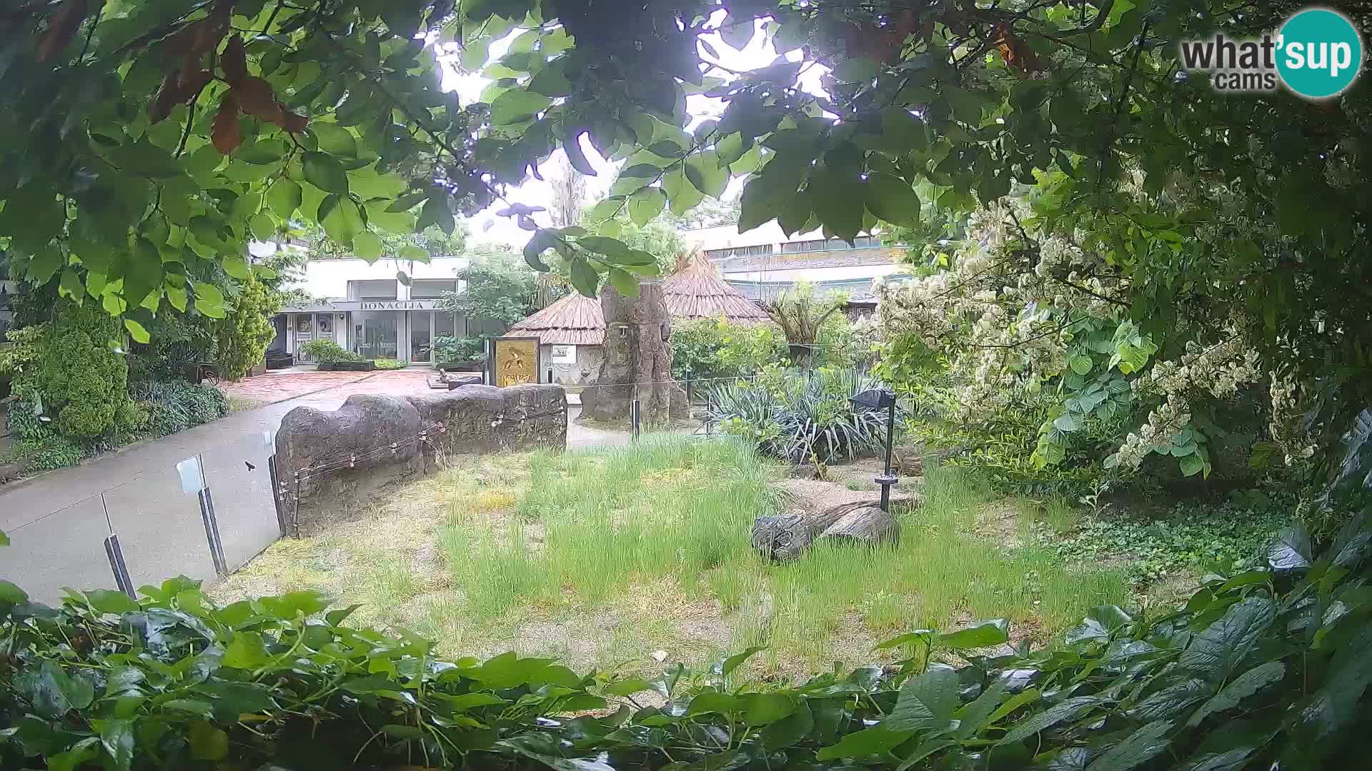 Zoo Zagreb – Erdmännchen