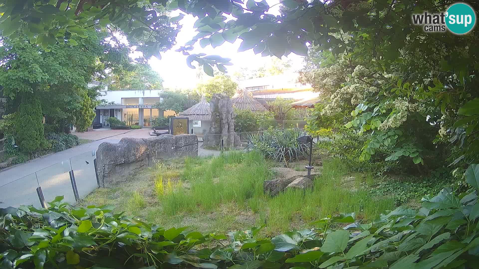 Zoo Zagreb – Merkat