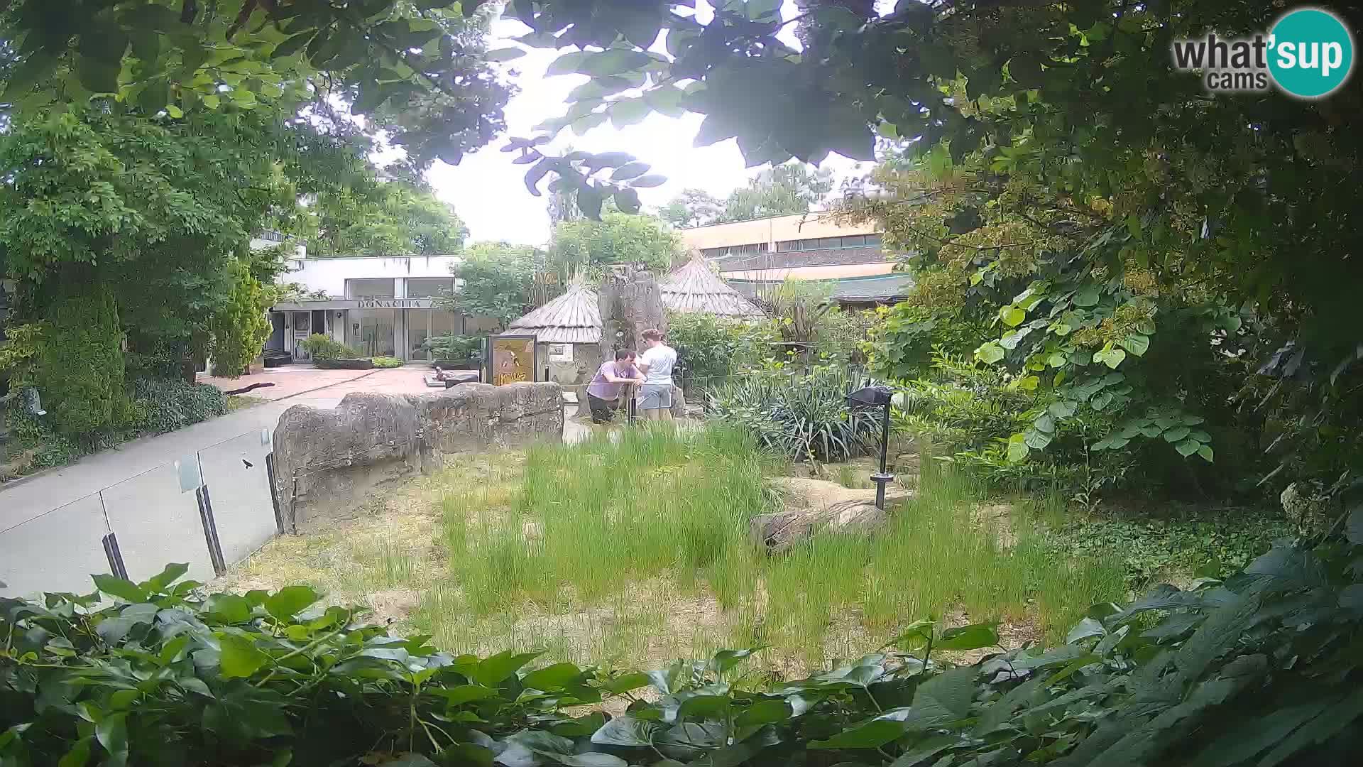 Zoo Zagreb – Erdmännchen