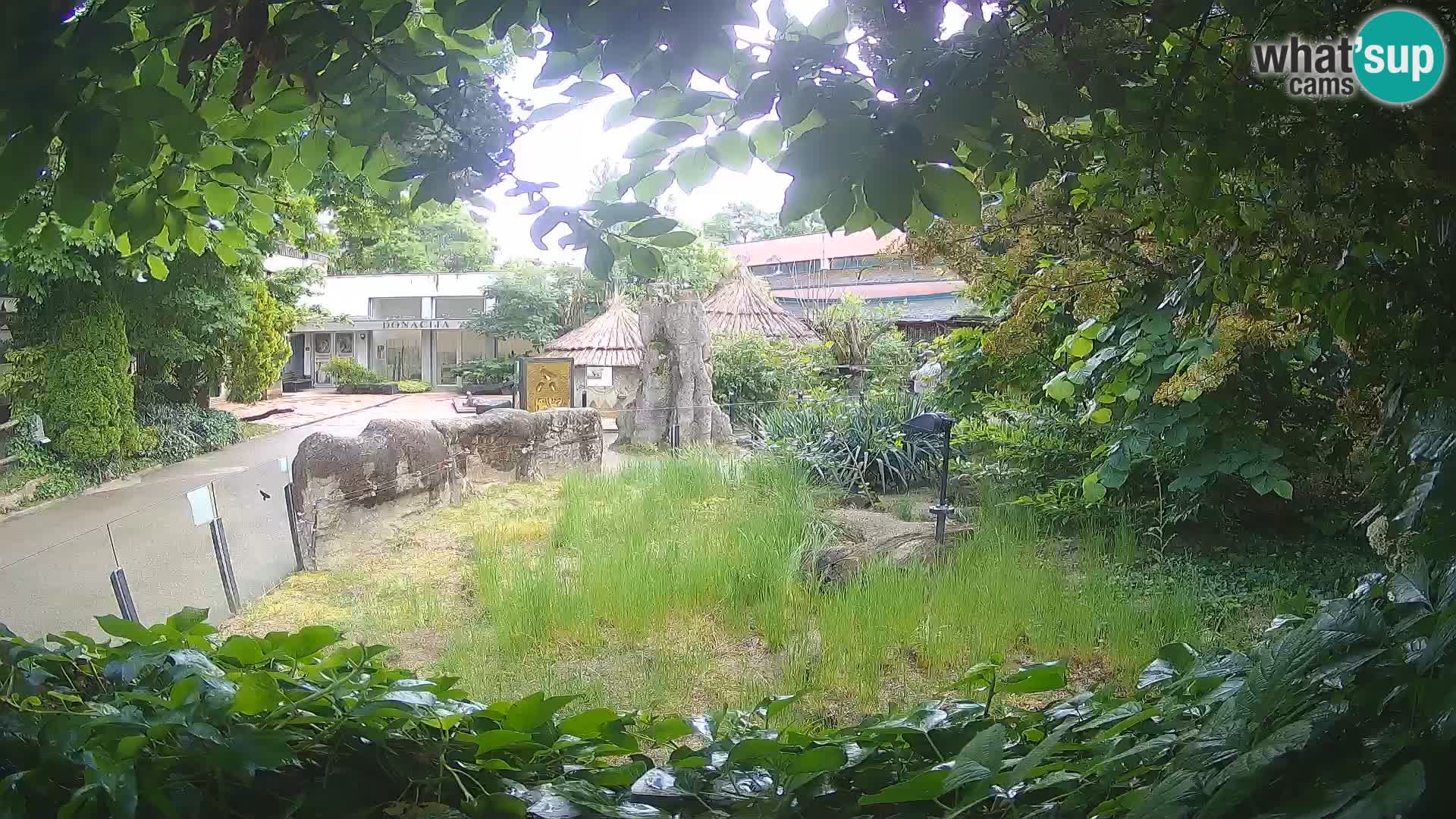 Zoo Zagreb – Surikate