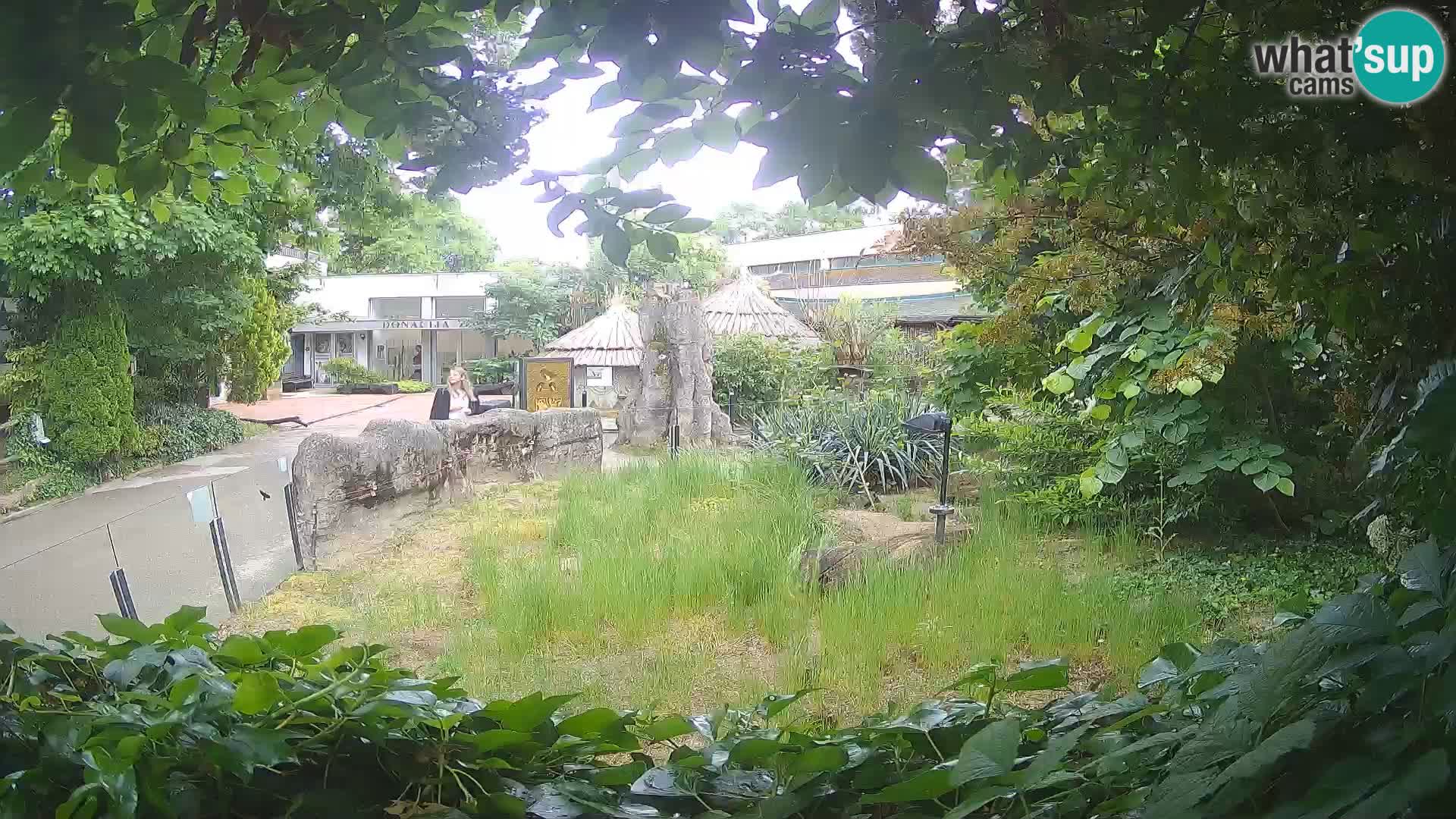 Zoo Zagreb – Surikate