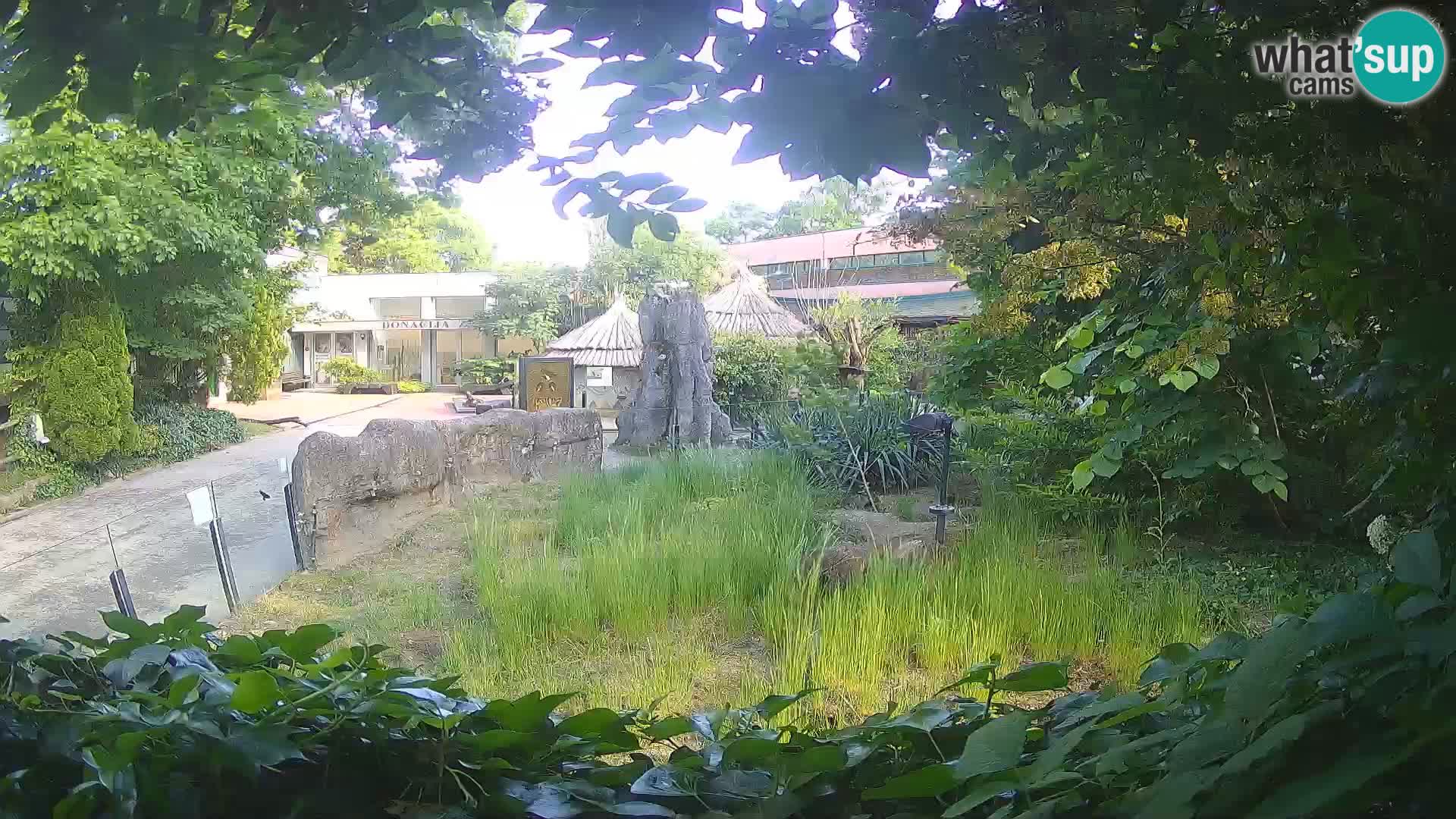 Zoo Zagreb – Surikate