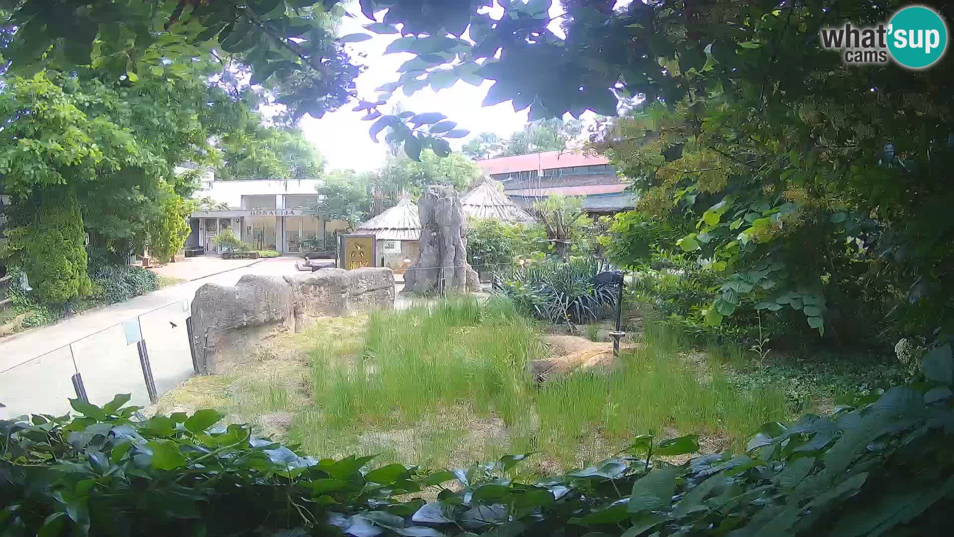 Zoo Zagreb – Merkat
