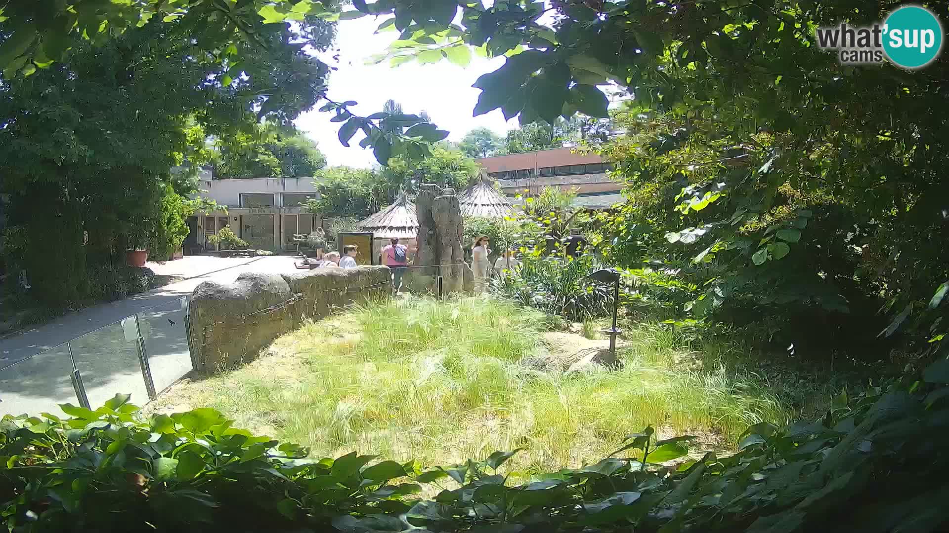 Zoo Zagreb – Erdmännchen