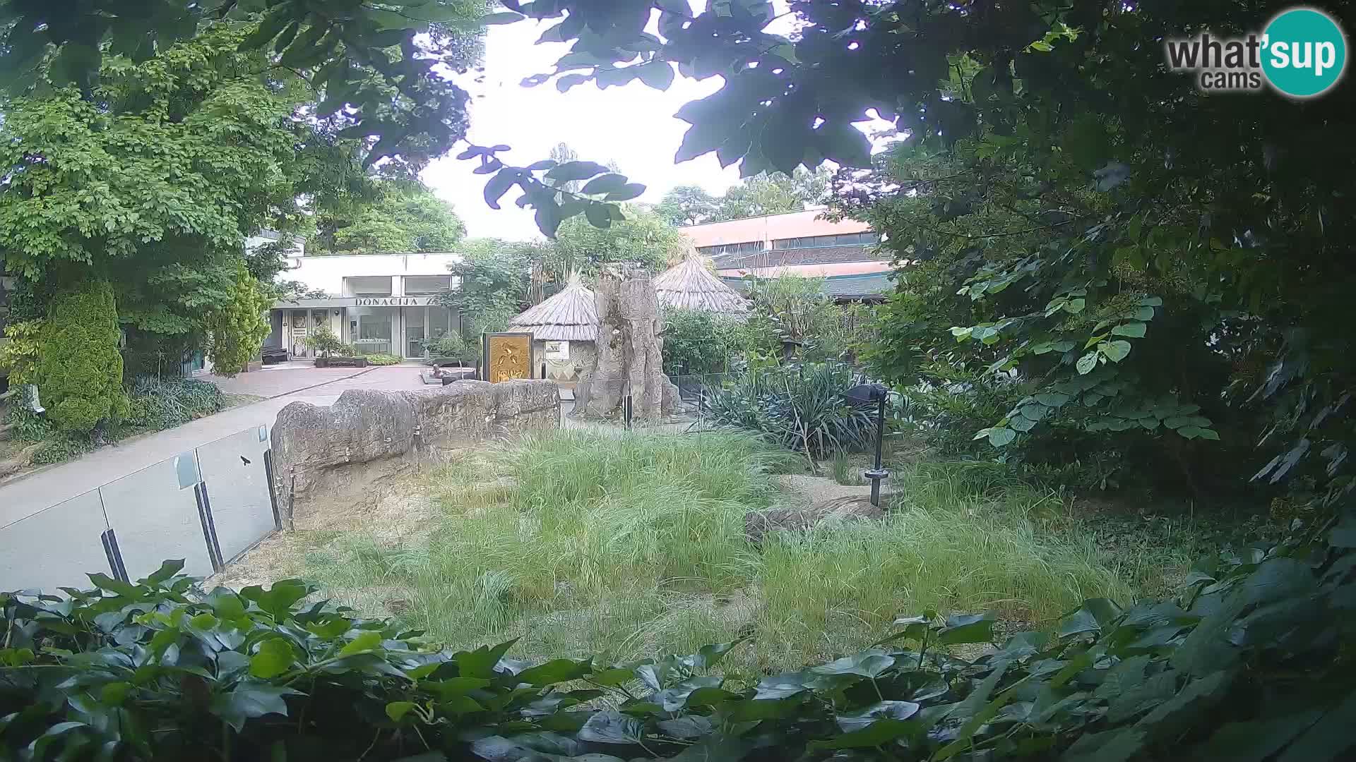 Zoo Zagreb – Erdmännchen