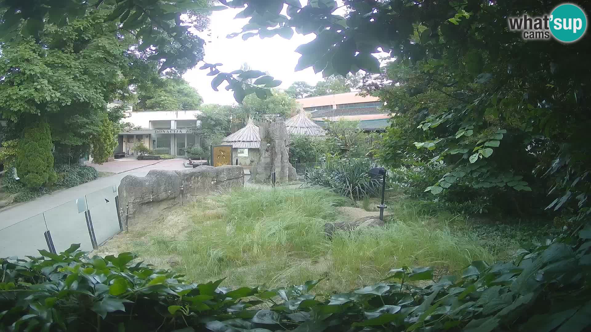 Zoo Zagreb – Erdmännchen