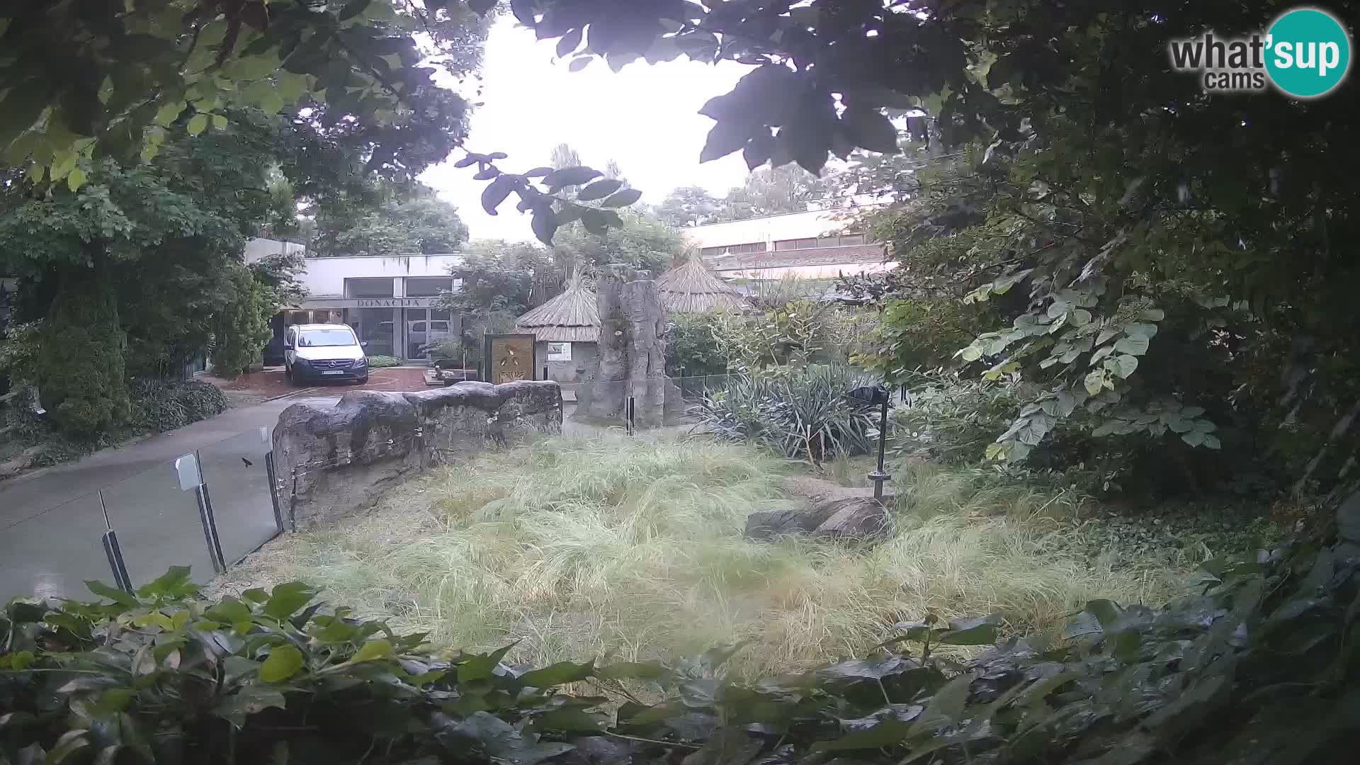 Zoo Zagreb – Surikate
