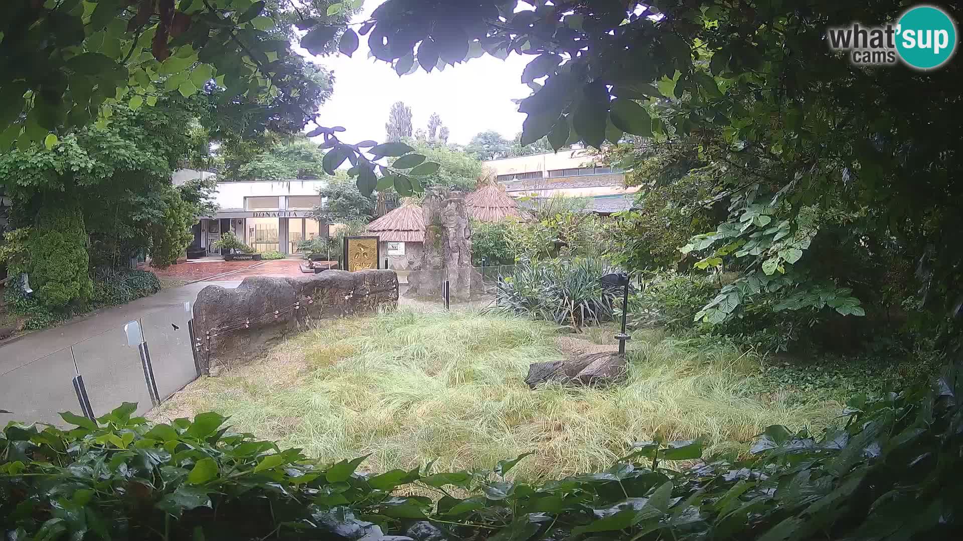 Zoo Zagreb – Surikate