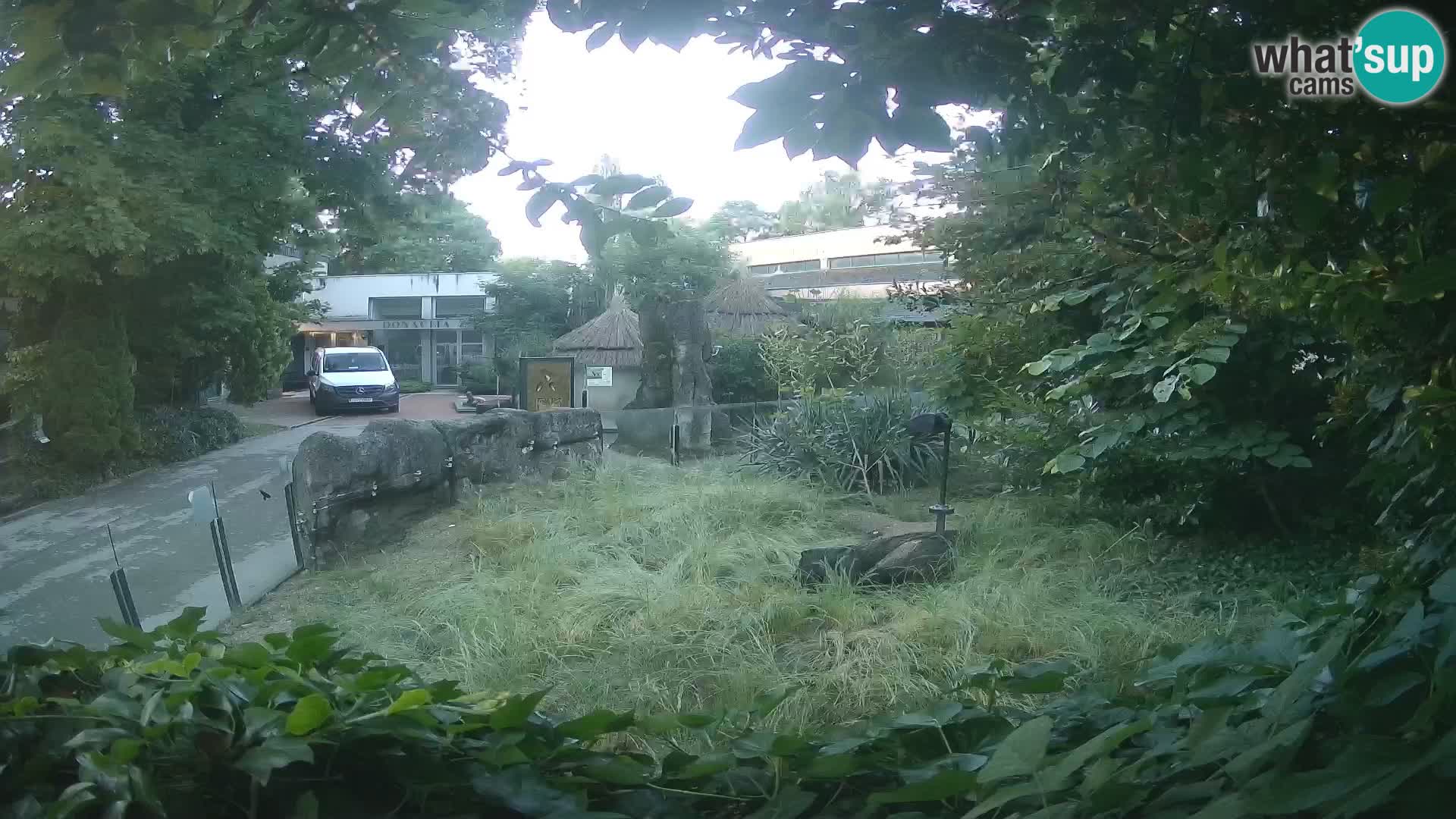 Zoo Zagreb – Merkat