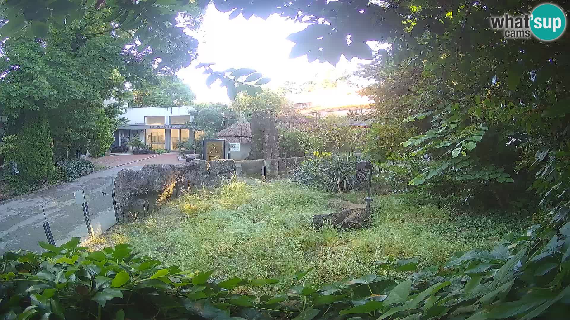 Zoo Zagreb – Suricata