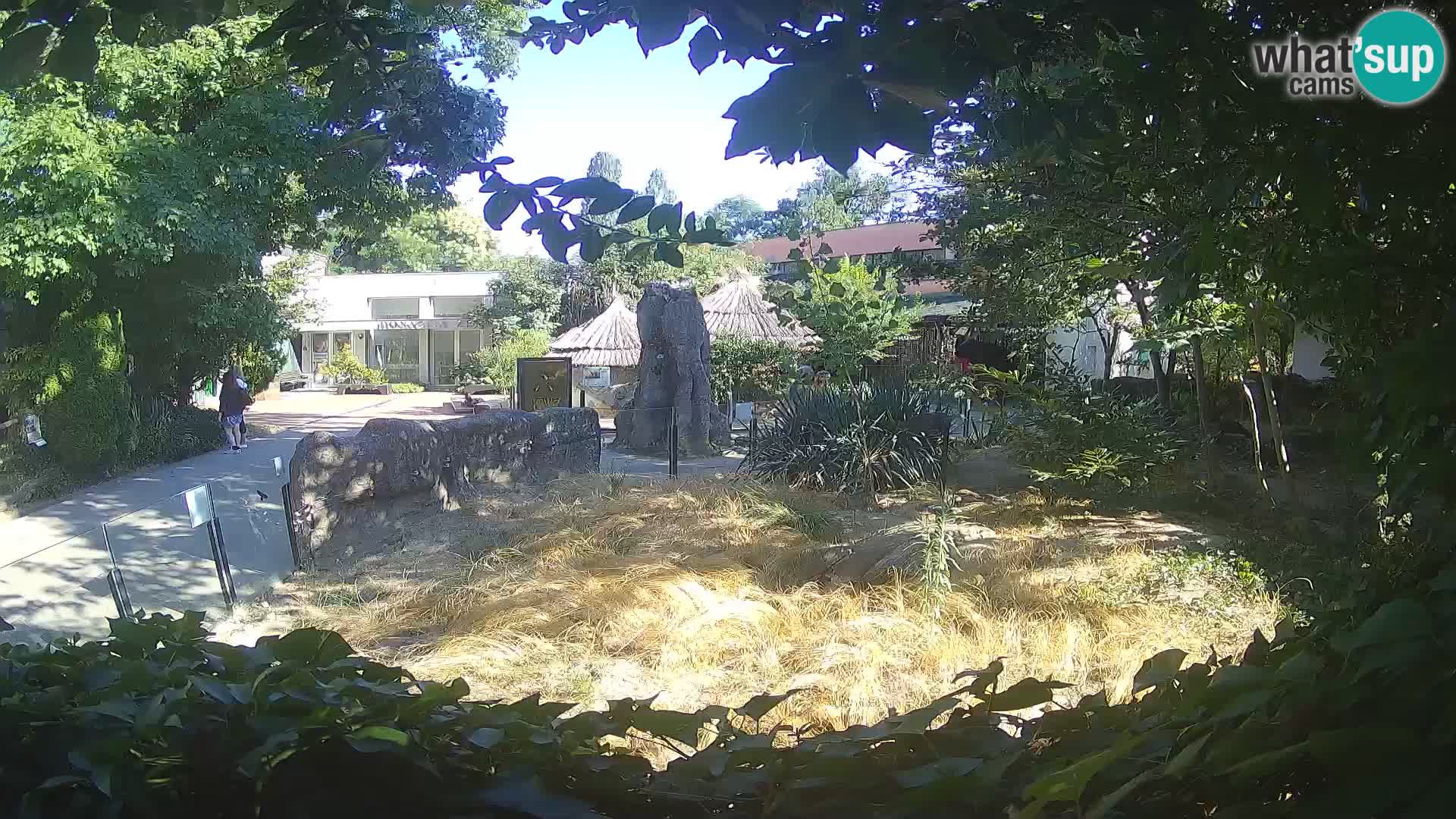 Zoo Zagreb – Merkat