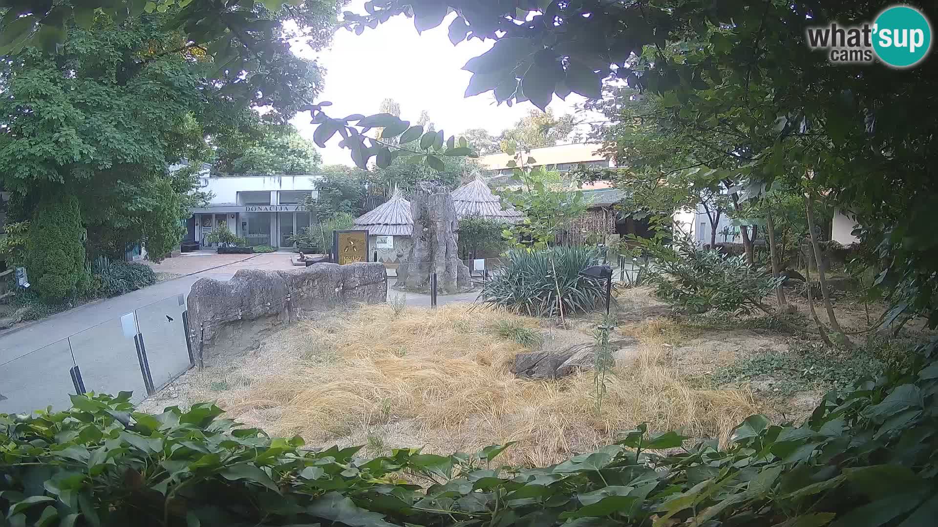 Zoo Zagreb – Merkat
