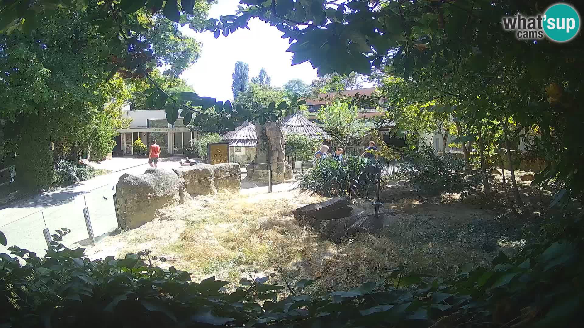 Zoo Zagreb – Merkat