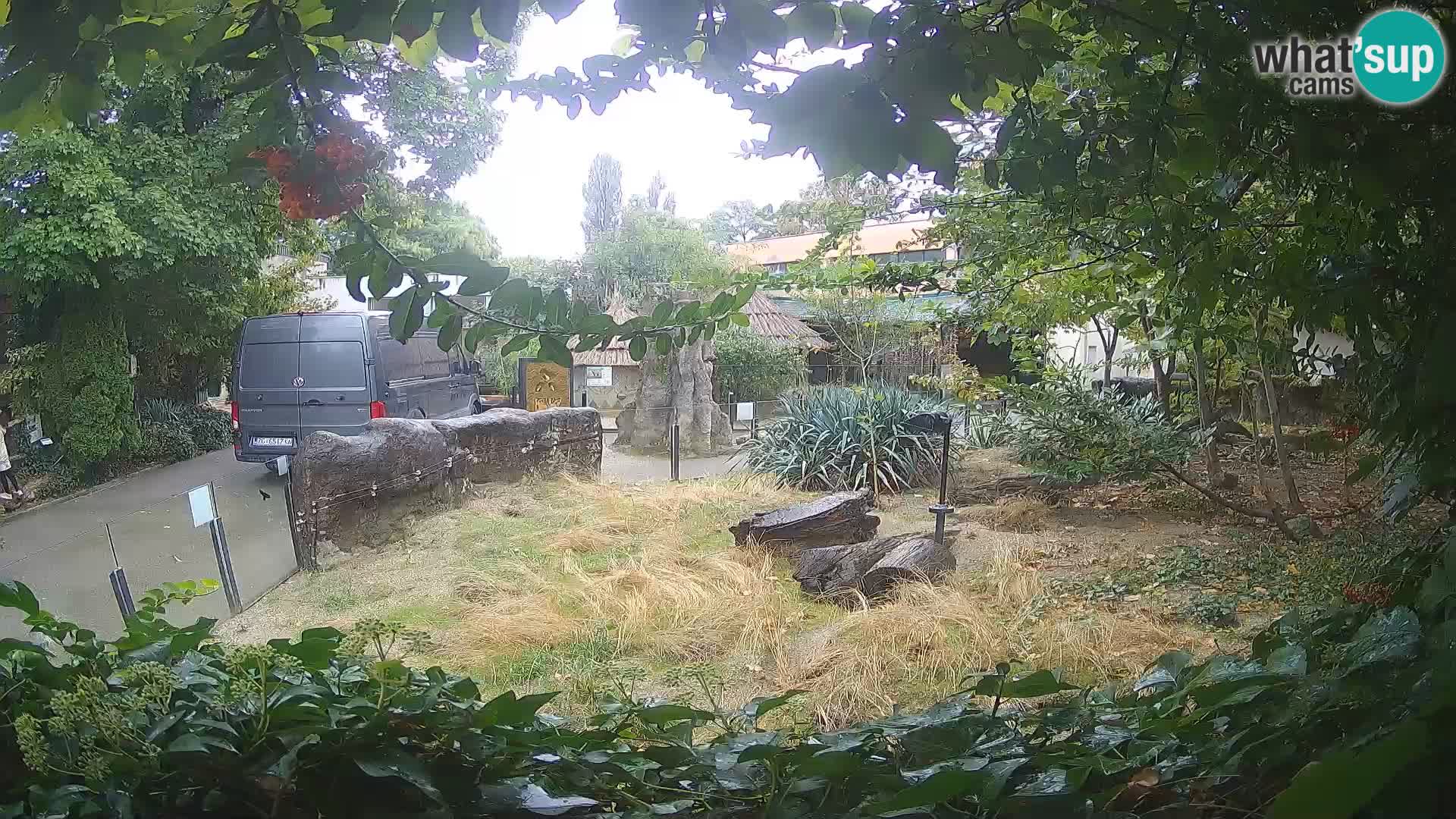 Zoo Zagreb – Erdmännchen