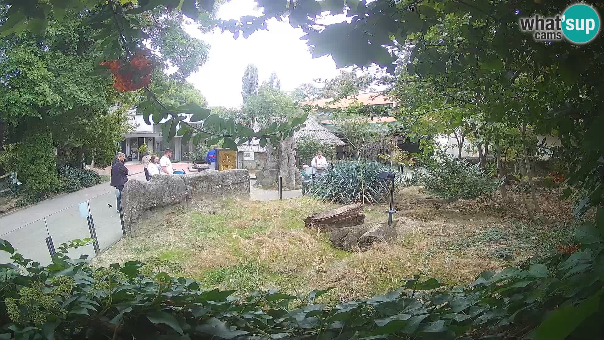 Zoo Zagreb – Erdmännchen