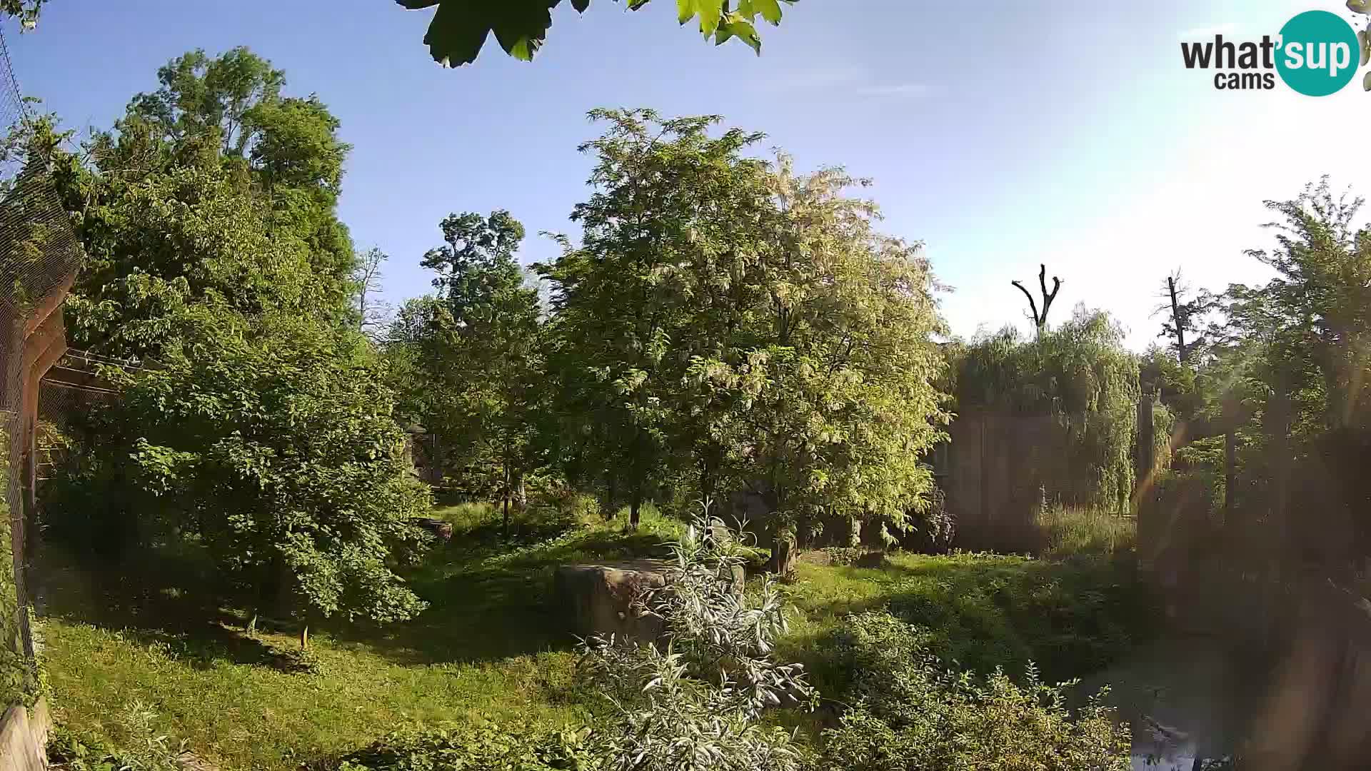 Zoo Zagreb – Löwen