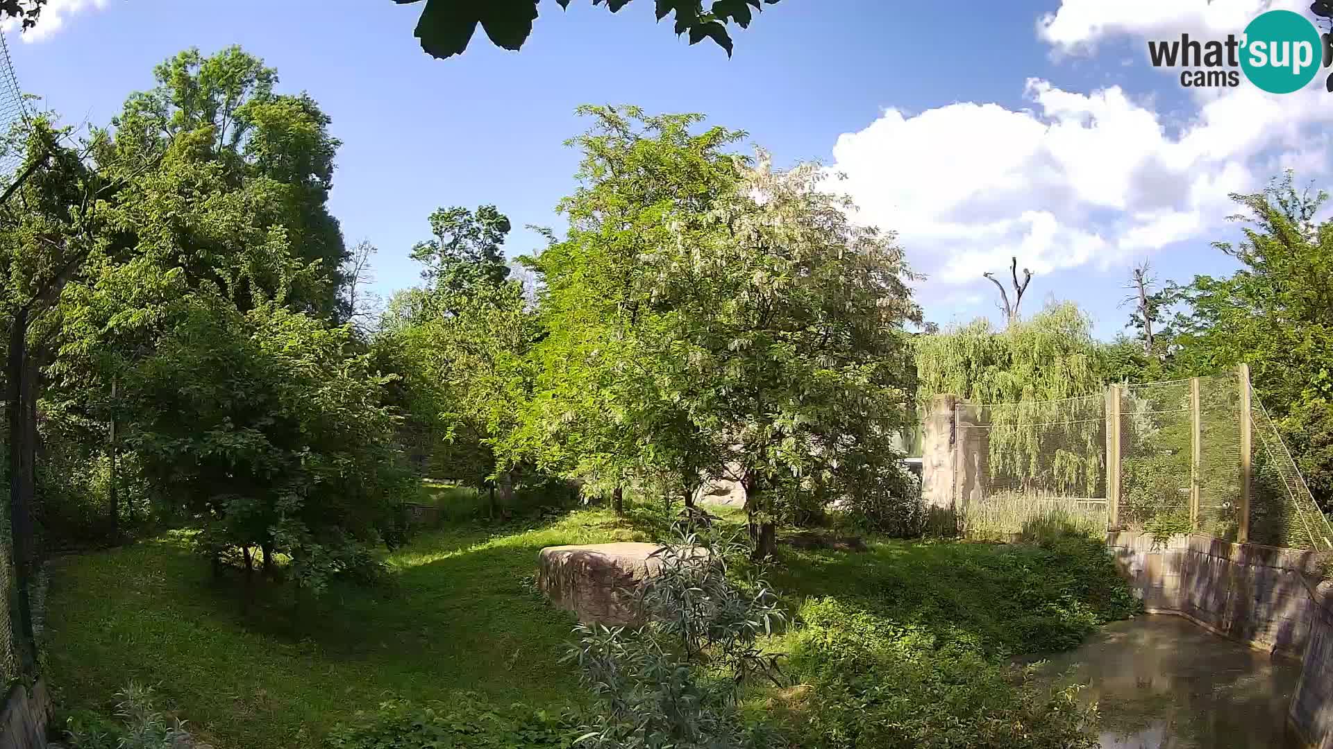 Spletna kamera Zoo Zagreb – Levi
