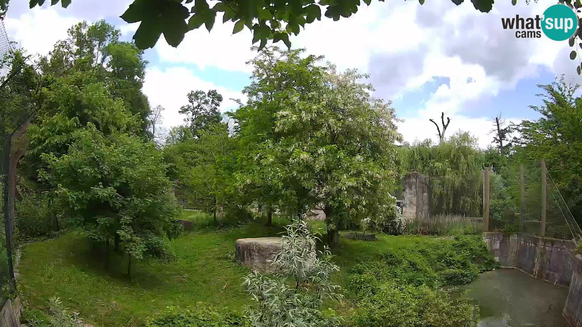 Zoo Zagreb – Leoni