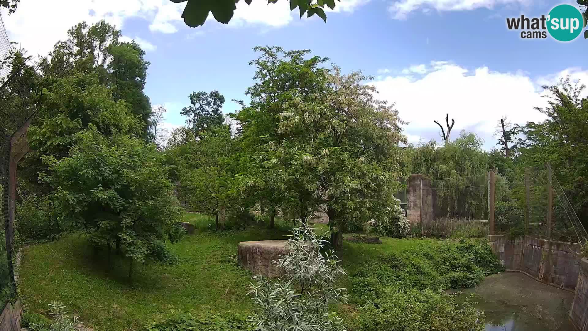 Zoo Zagreb – Löwen