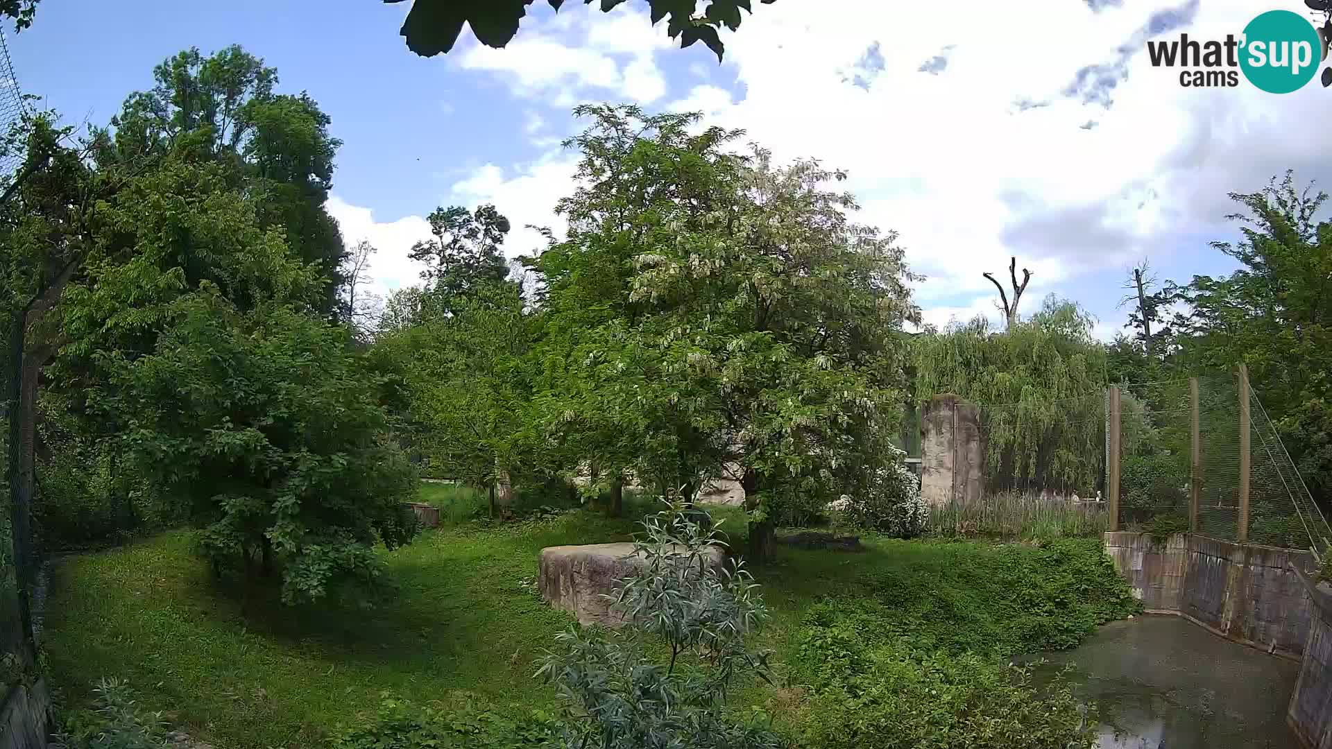 Zoo Zagreb – Lavovi