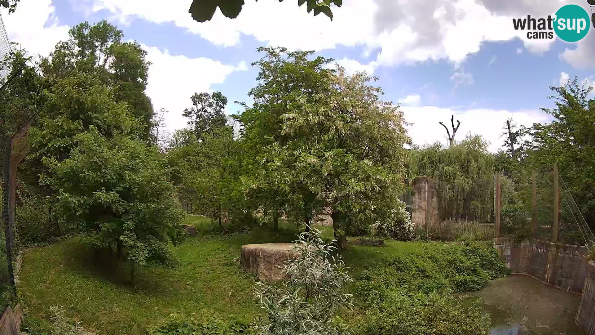 Spletna kamera Zoo Zagreb – Levi