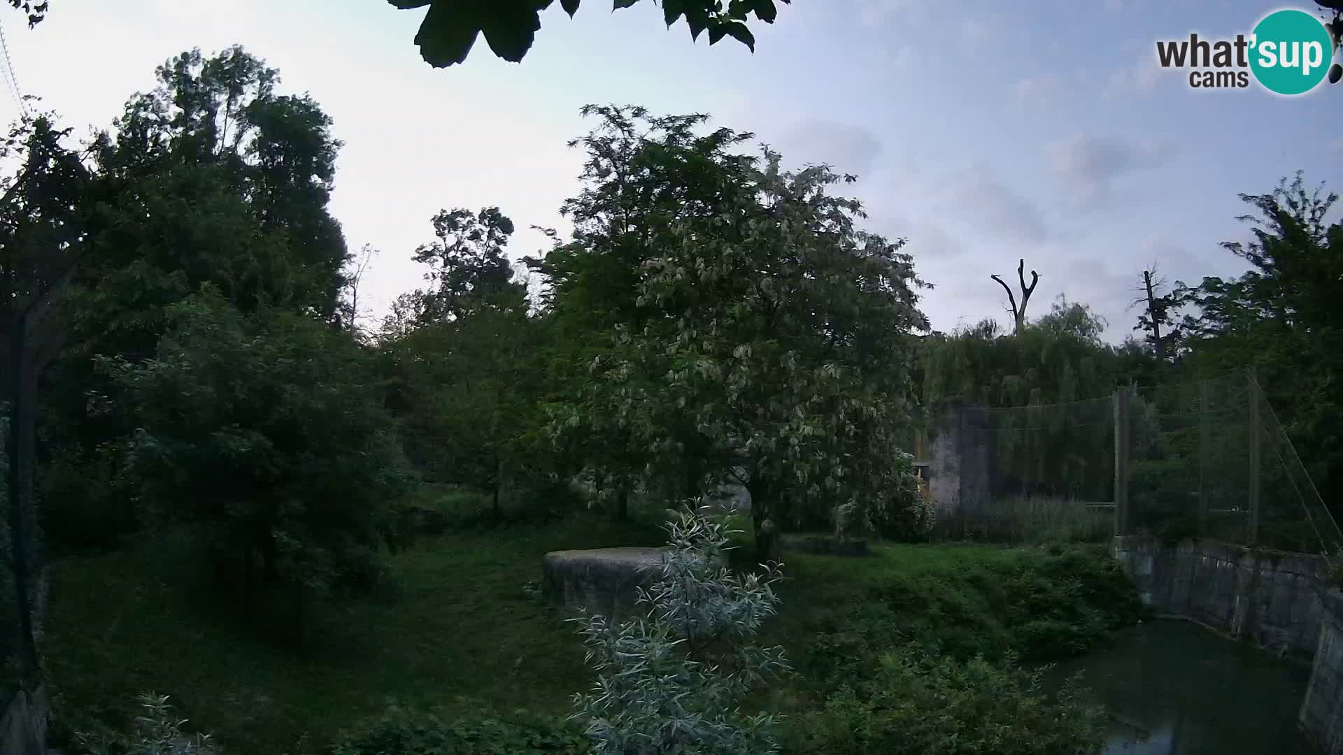 Zoo Zagreb – Leoni