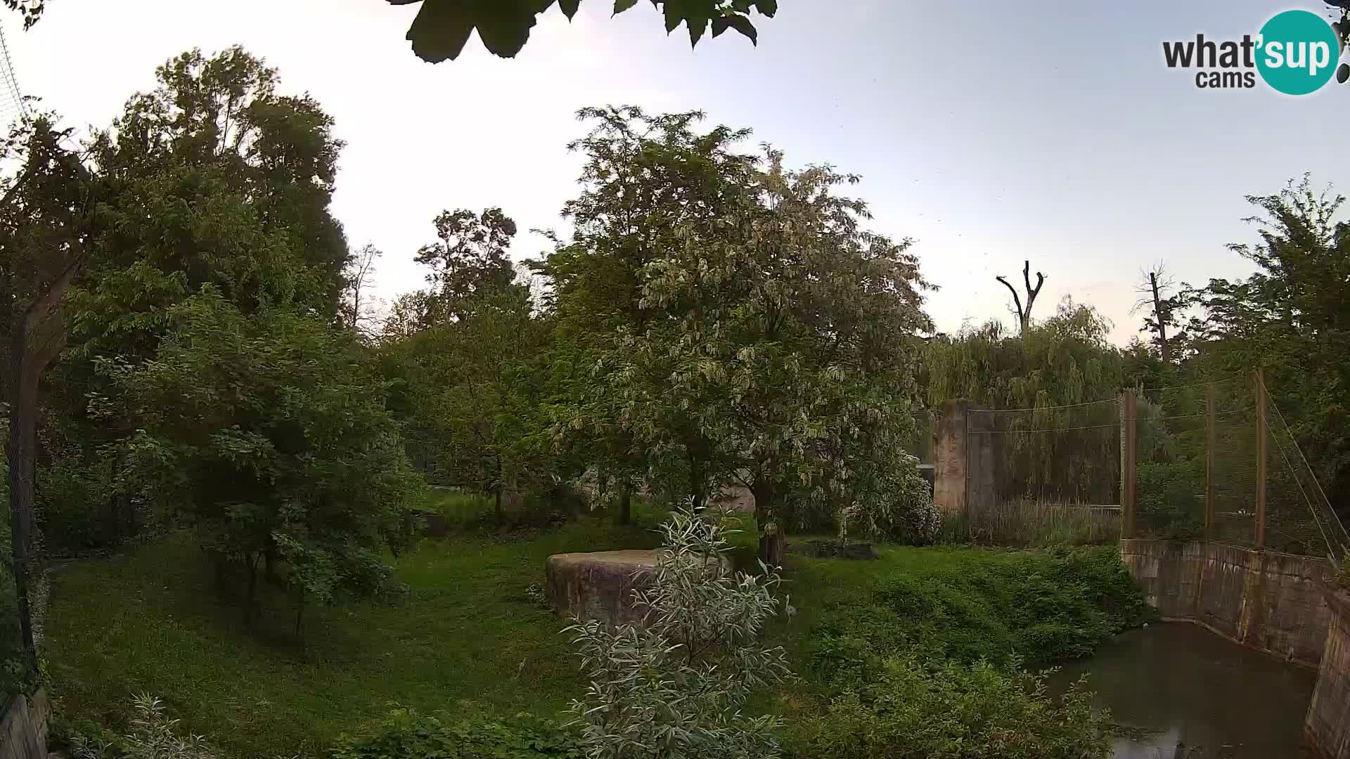 Zoo Zagreb – Löwen