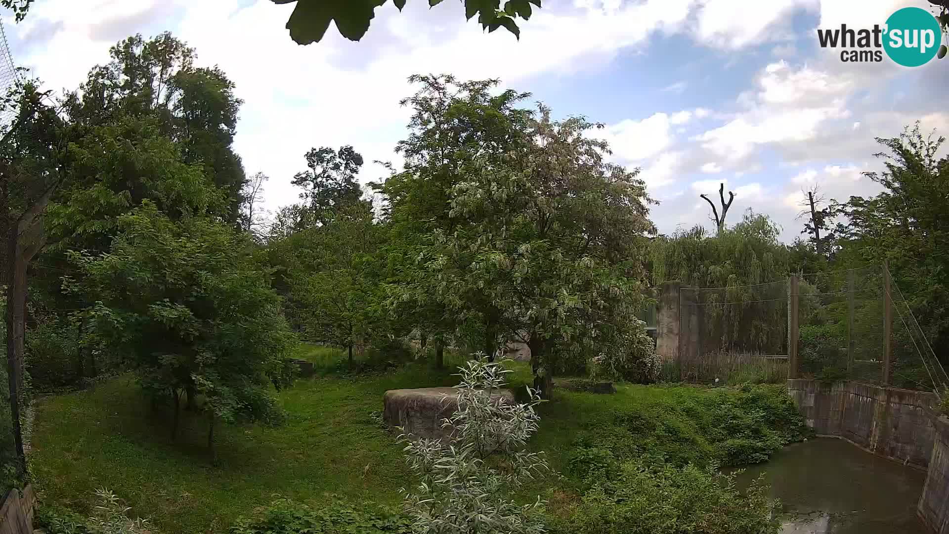 Zoo Zagreb – Lion