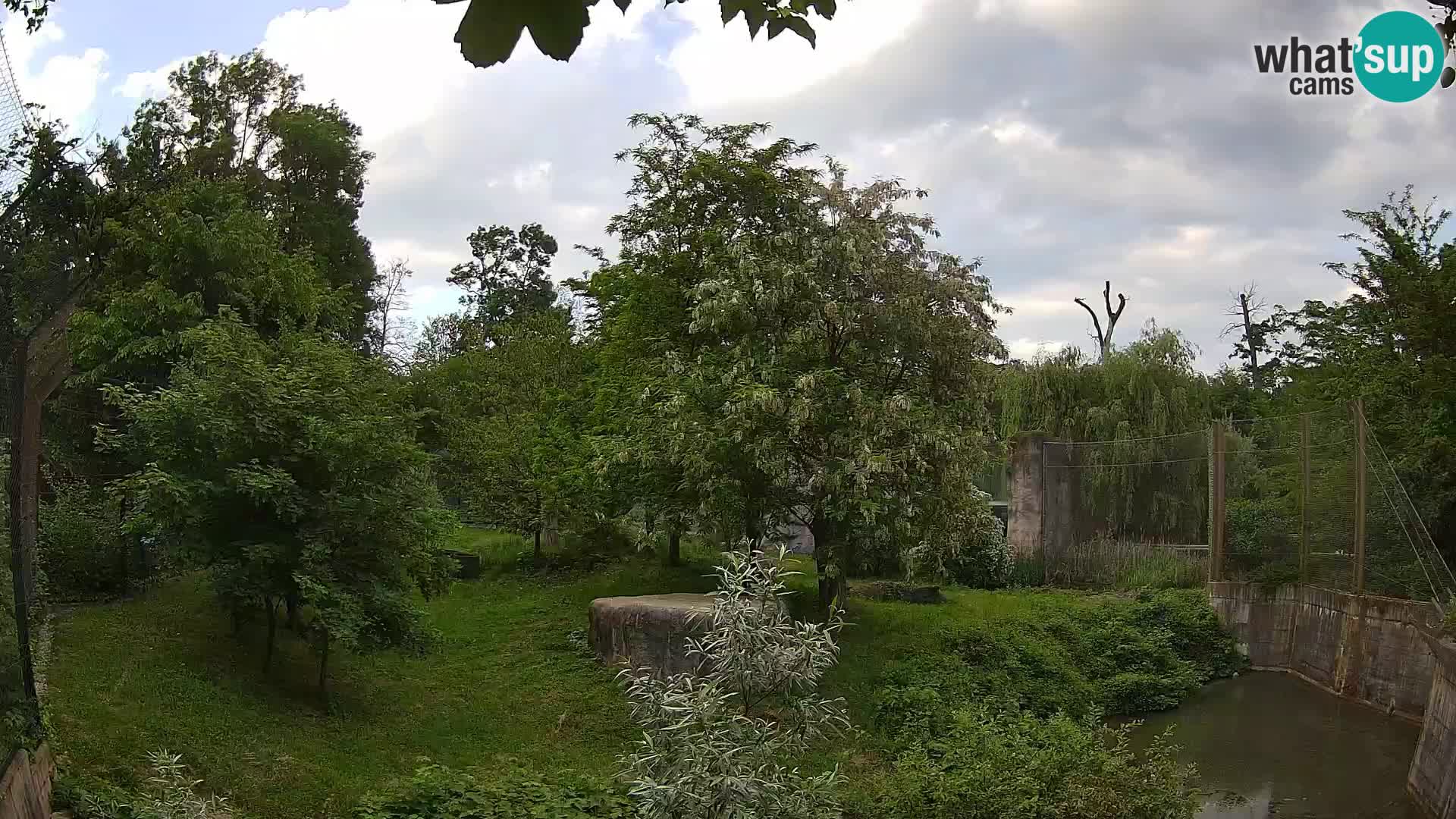 Zoo Zagreb – Lion