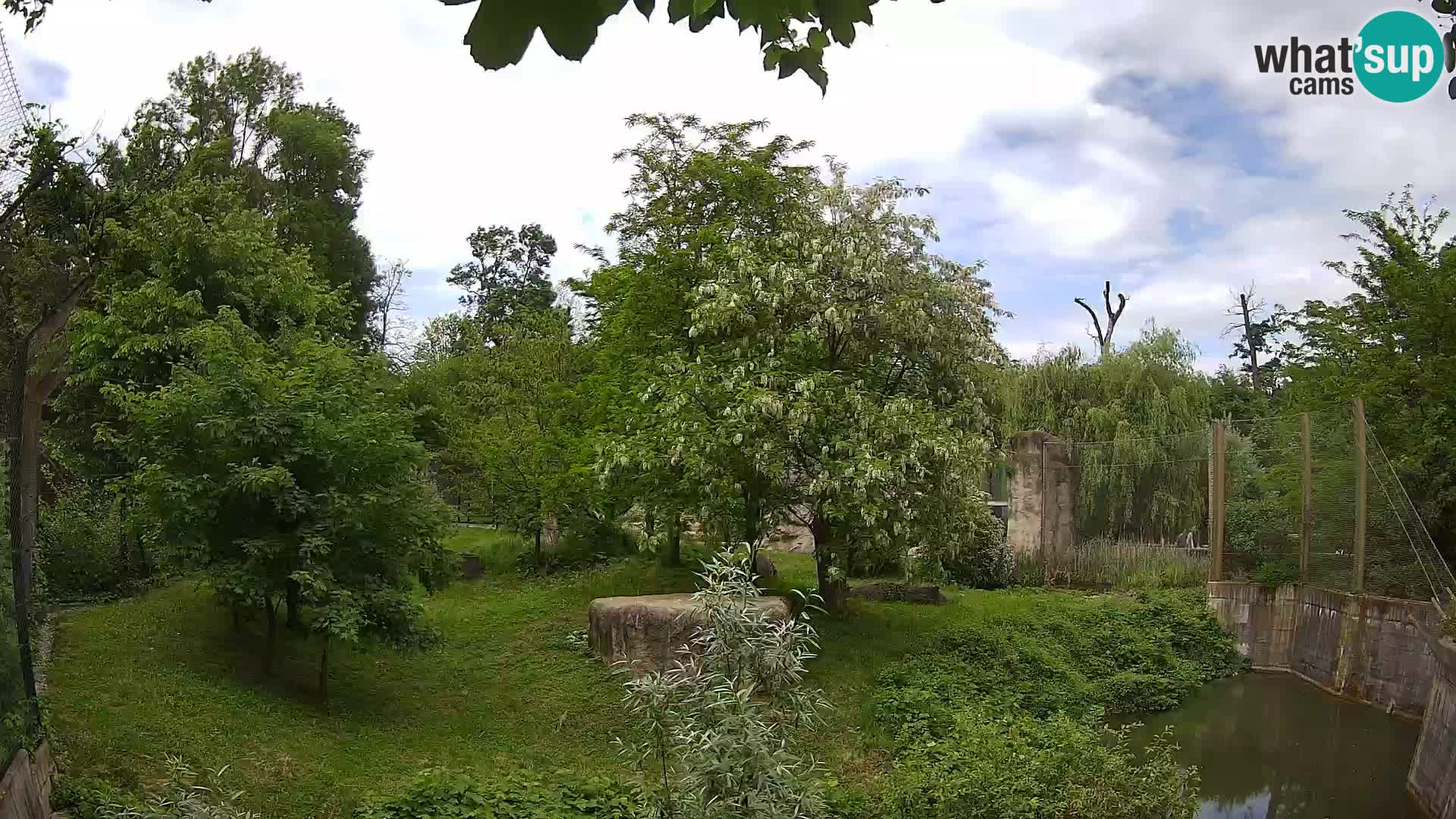 Zoo Zagreb – Leoni