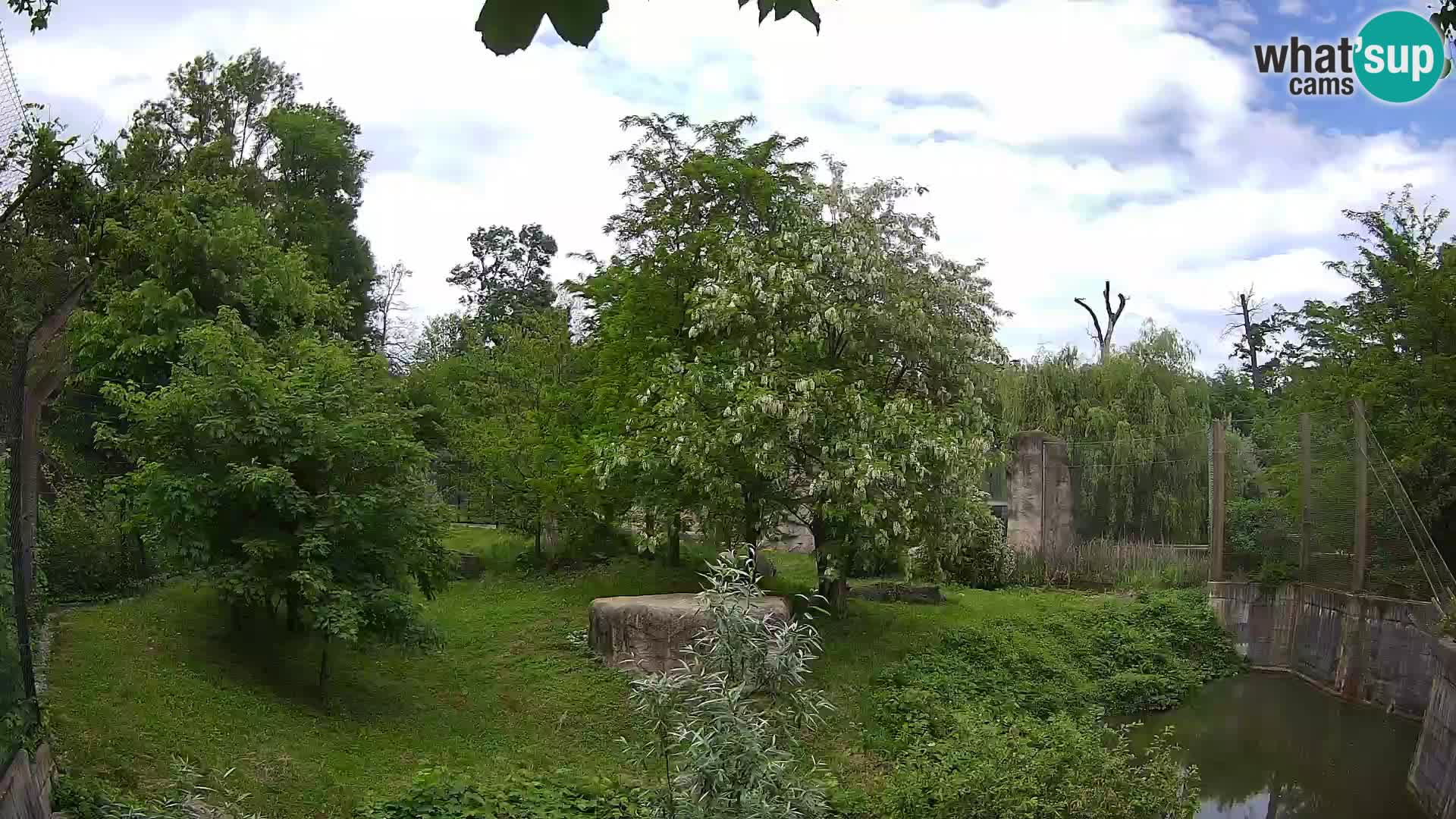 Zoo Zagreb – Leoni