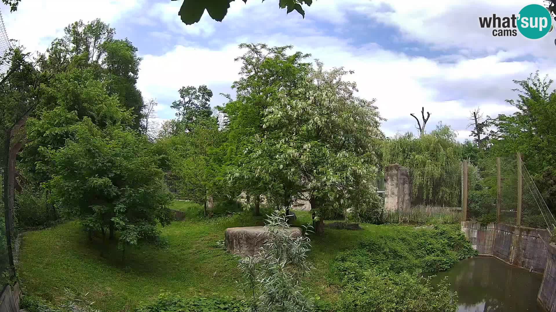 Zoo Zagreb – Löwen