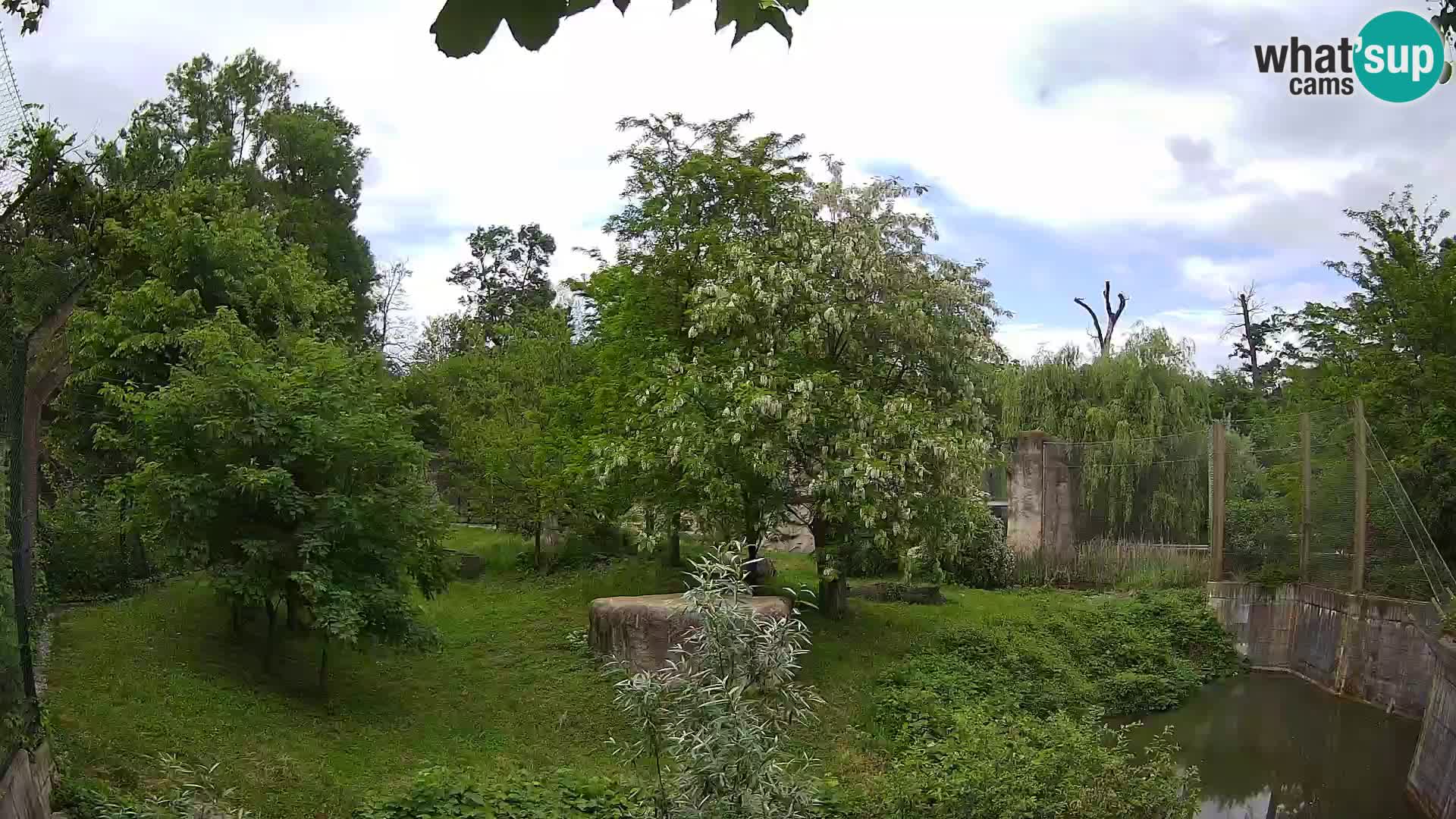 Zoo Zagreb – Leones