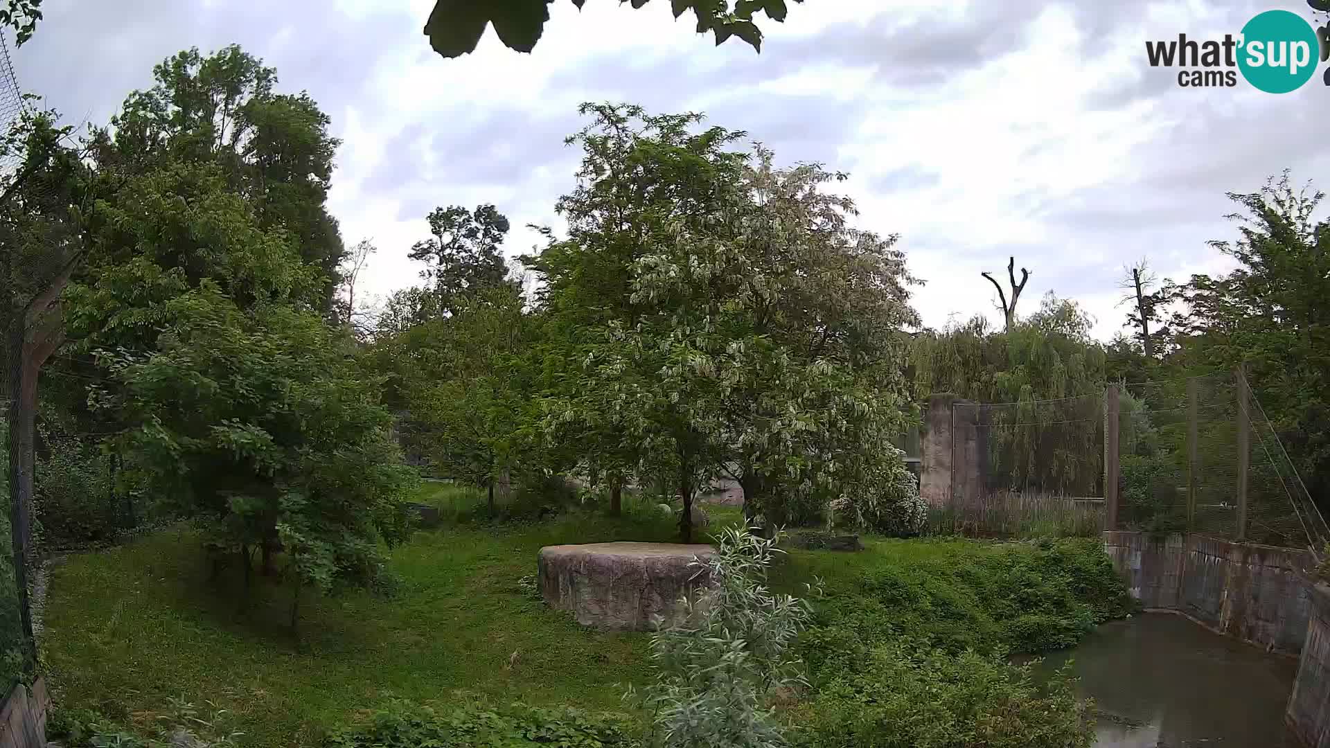 Zoo Zagreb – Leoni