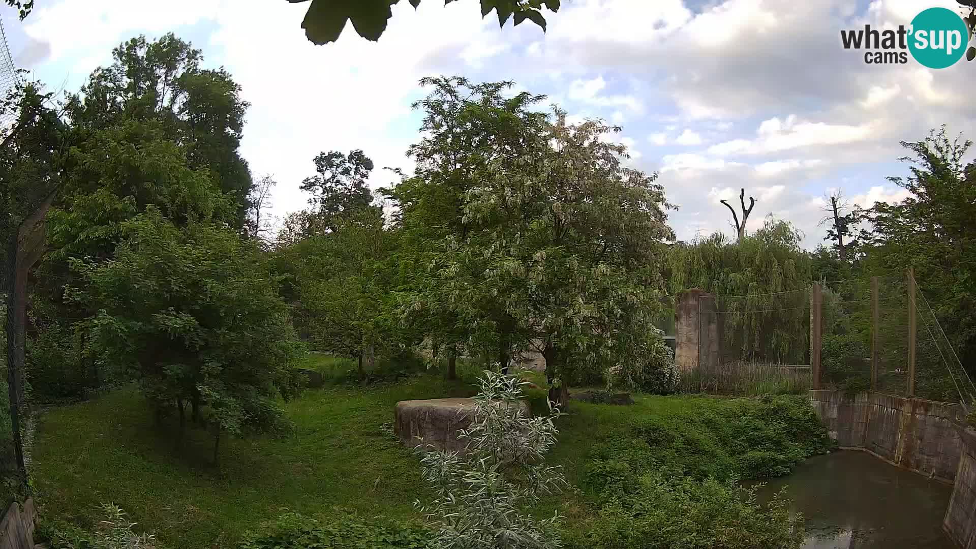 Zoo Zagreb – Leoni