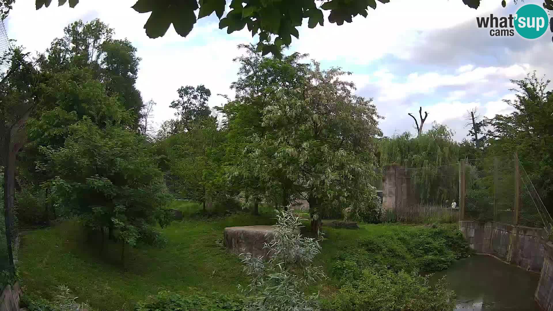 Zoo Zagreb – Leoni