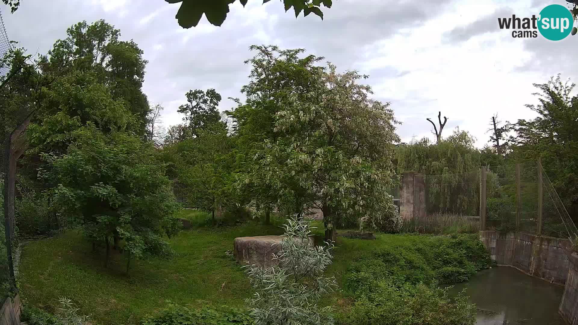Zoo Zagreb – Leoni