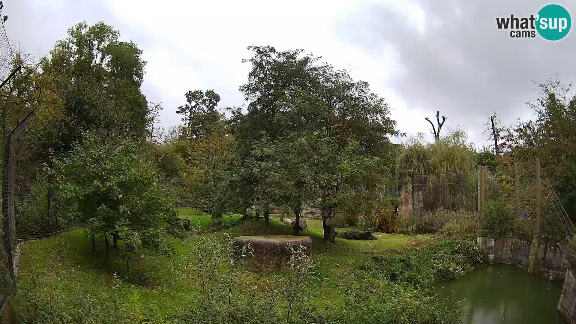 Zoo Zagreb – Lion